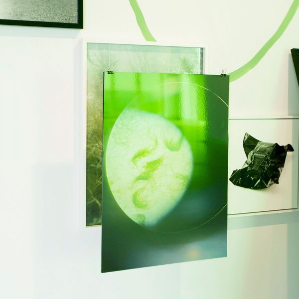 Alice Pallot, Despertar el Agua, Jonàs Forchini et Alice Pallot, tirage photochimique sur dibond et tirage jet d’encre avec caisse américaine, 70x50cm et 40x40cm.