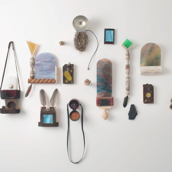 Clara de Tezanos, Scandale d'oiseaux dans le jardin, Installation de diverses pièces, cuir, verre, ressources naturelles, photographies et vieilles caméras. 2024.