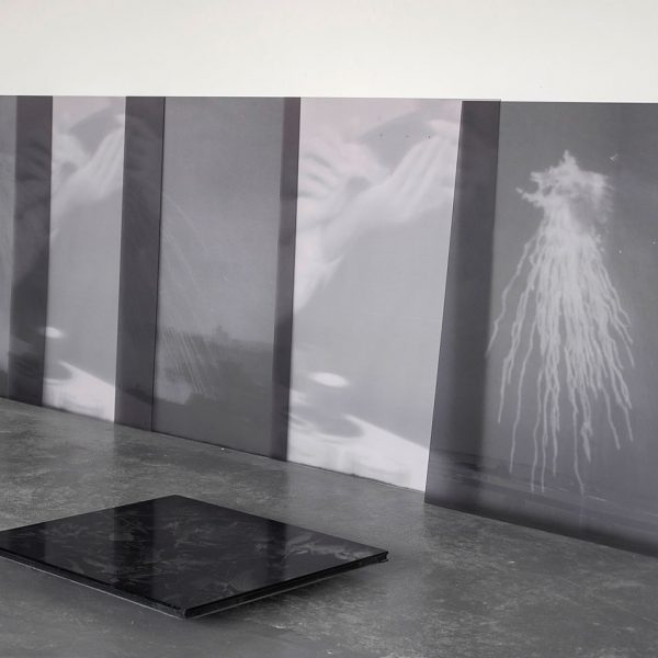 Pooya Abbasian, The White Willy Pete!, Impression UV sur plexiglass, 450 x 140 cm. © ADAGP.