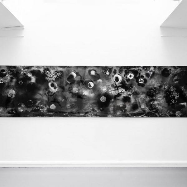 Sandrine Elberg, Cosmogonie, Photogramme, Papier argentique N&B - RC Ilford brillant, œuvre unique, 520 x 105 cm, © ADAGP.